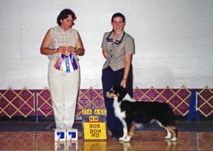 Cody going Winners Dog, Best of Winners, and Best of Breed at Zia ASC, under ASCA Senior Breeder Judge Annette Cyboron, August 4, 2000.         